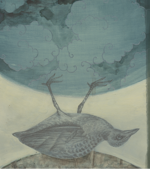 Corn Crake Illustration copy