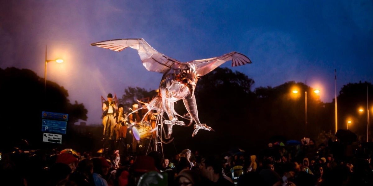 This Thunderous Heart