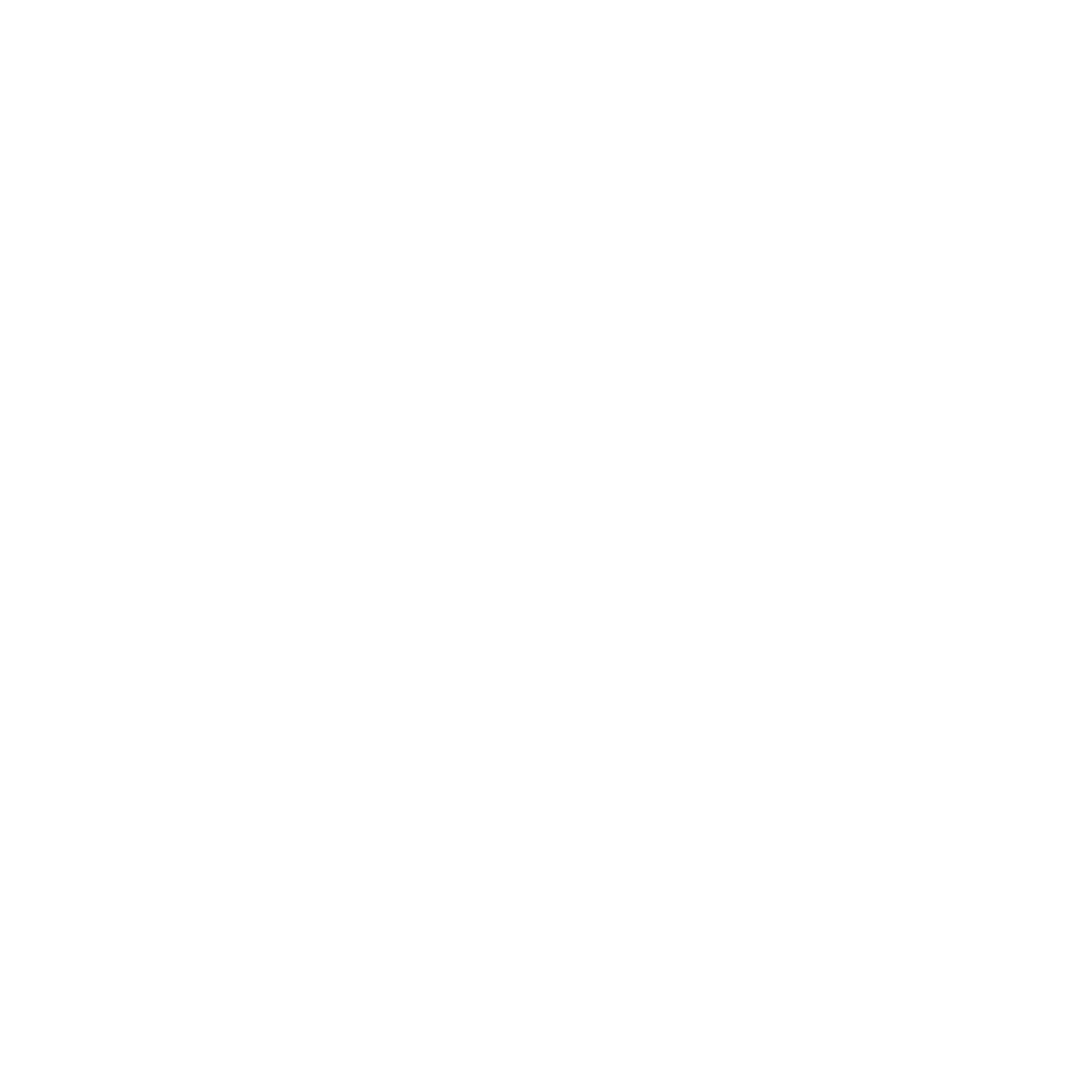 Irish City Link logo white